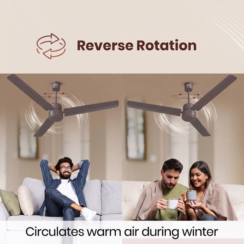 Reo by Havells Unnovate|Remote Controlled|Reverse Rotation Mode| Timer Setting| Low Noise with 2 Year Warranty BLDC Motor 1200 mm Ceiling Fan (Cocoa Brown) - Photo 4